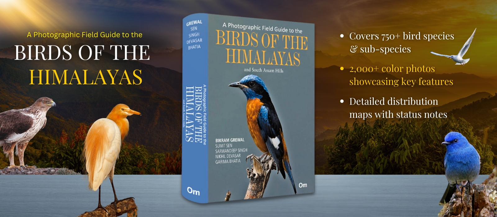 Birds of the Himalayas