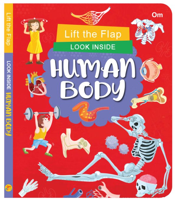 Human Body Activity Book