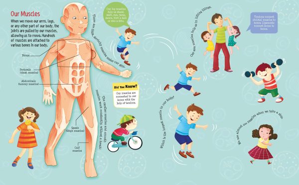 Human Body Activity Book